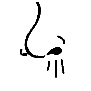 Artistic sketch of a cat's nose with whiskers