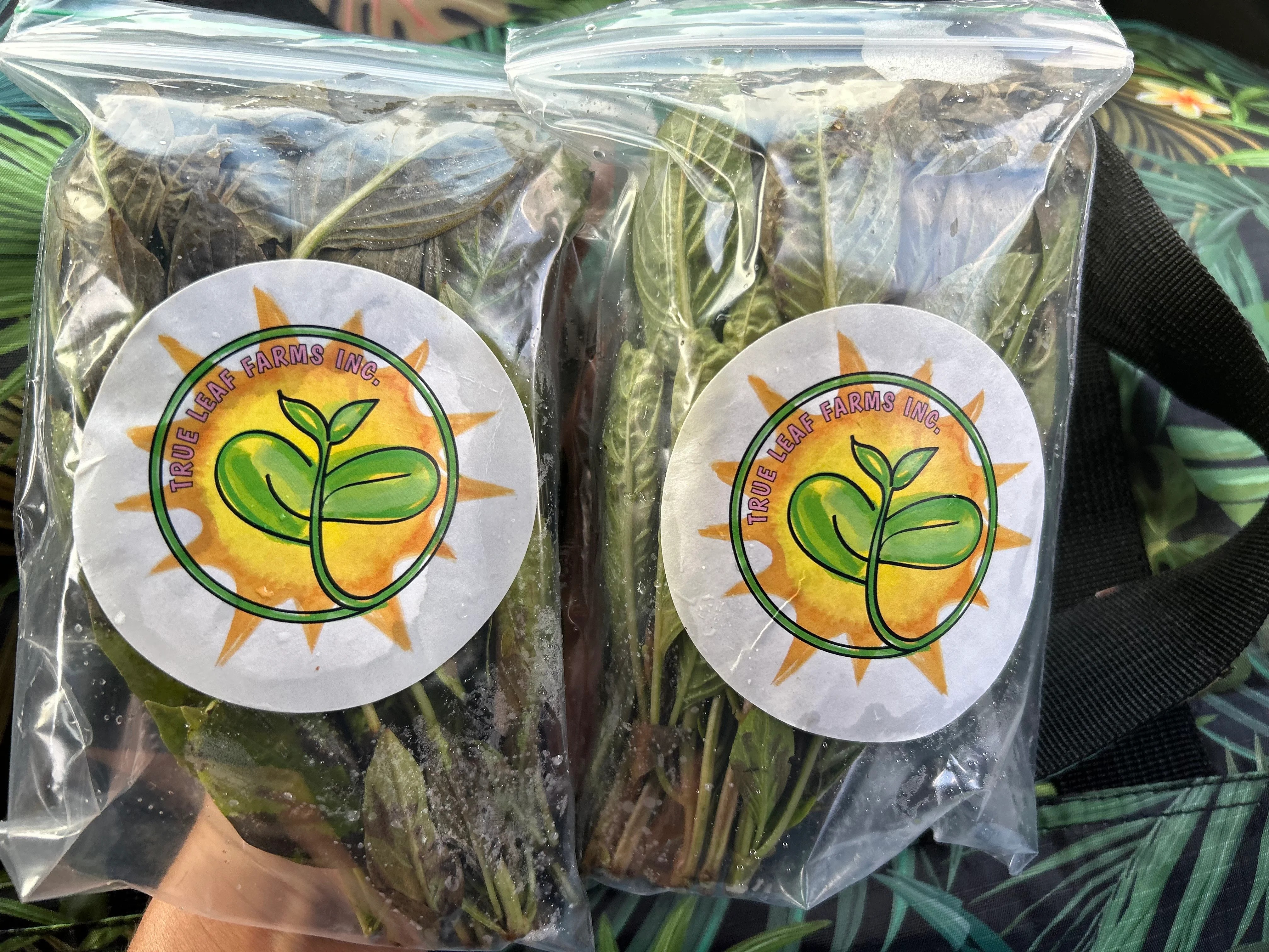 Fresh herbs from True Leaf Farms in eco-friendly packaging
