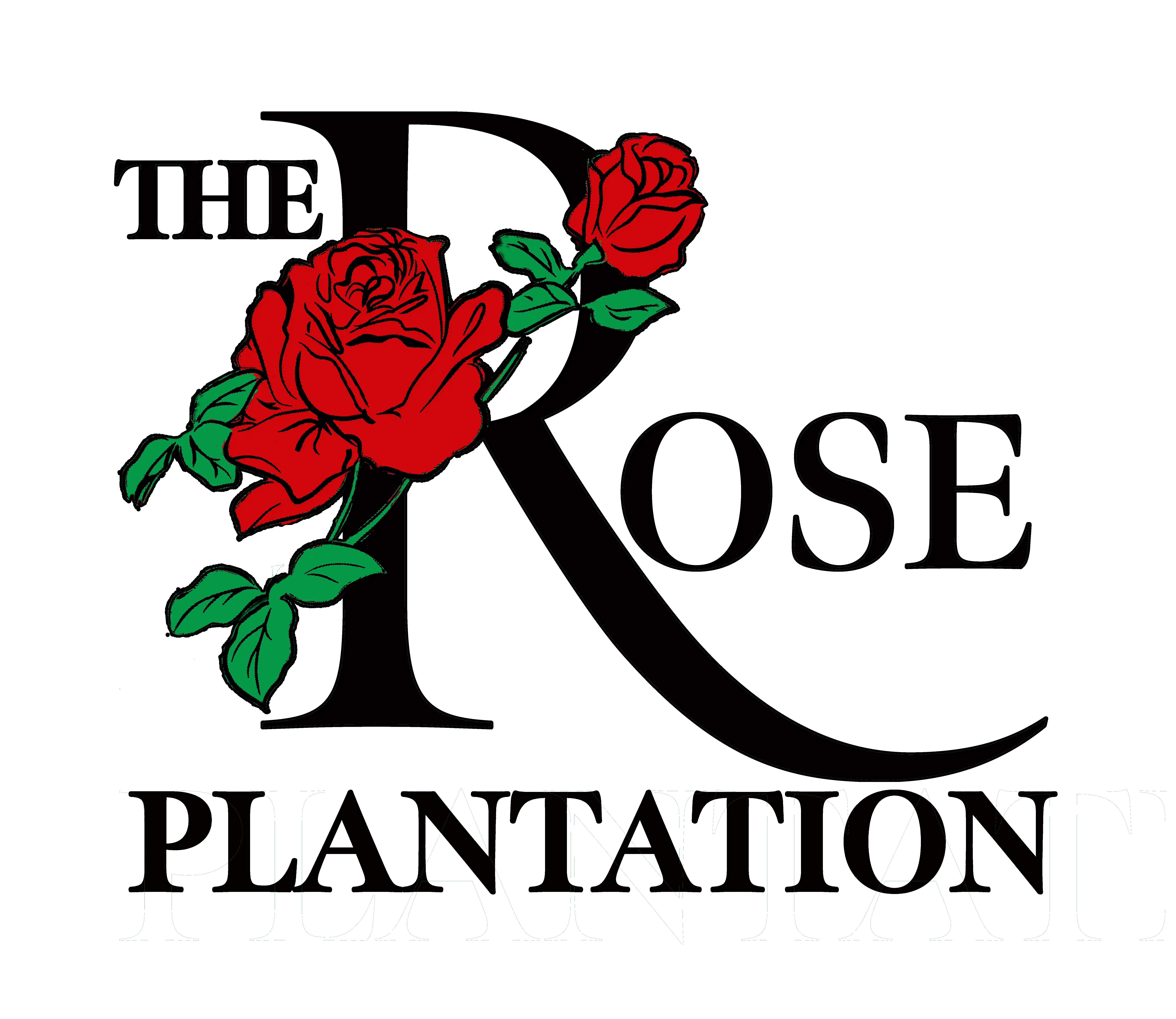 The Rose Plantation
