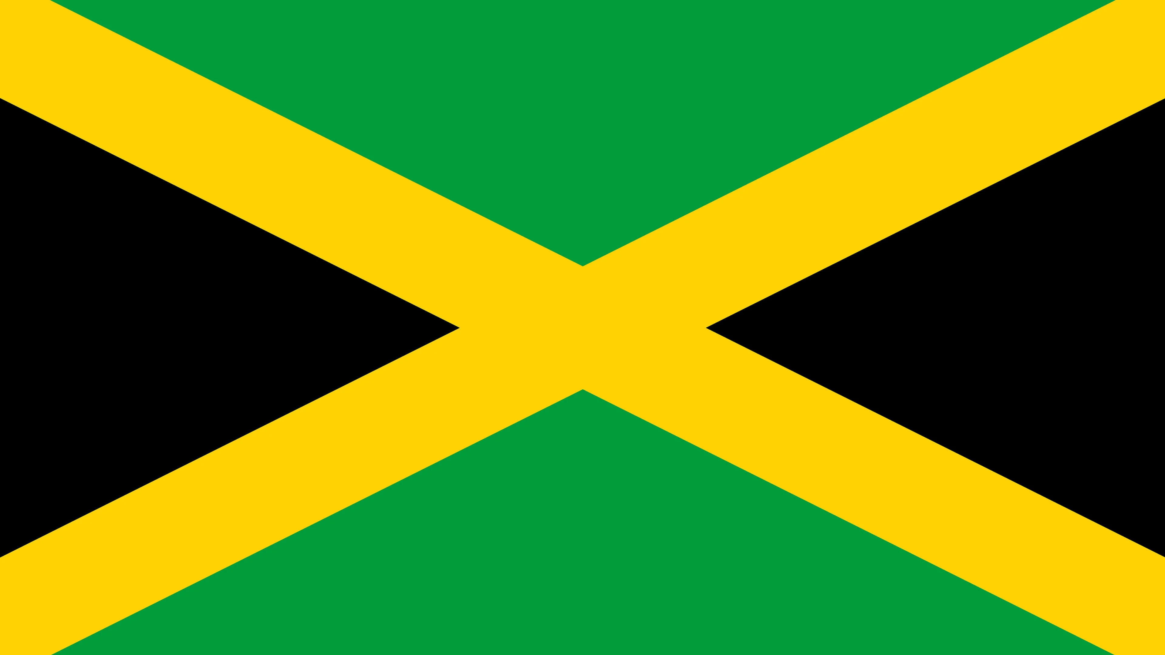 User-uploaded image