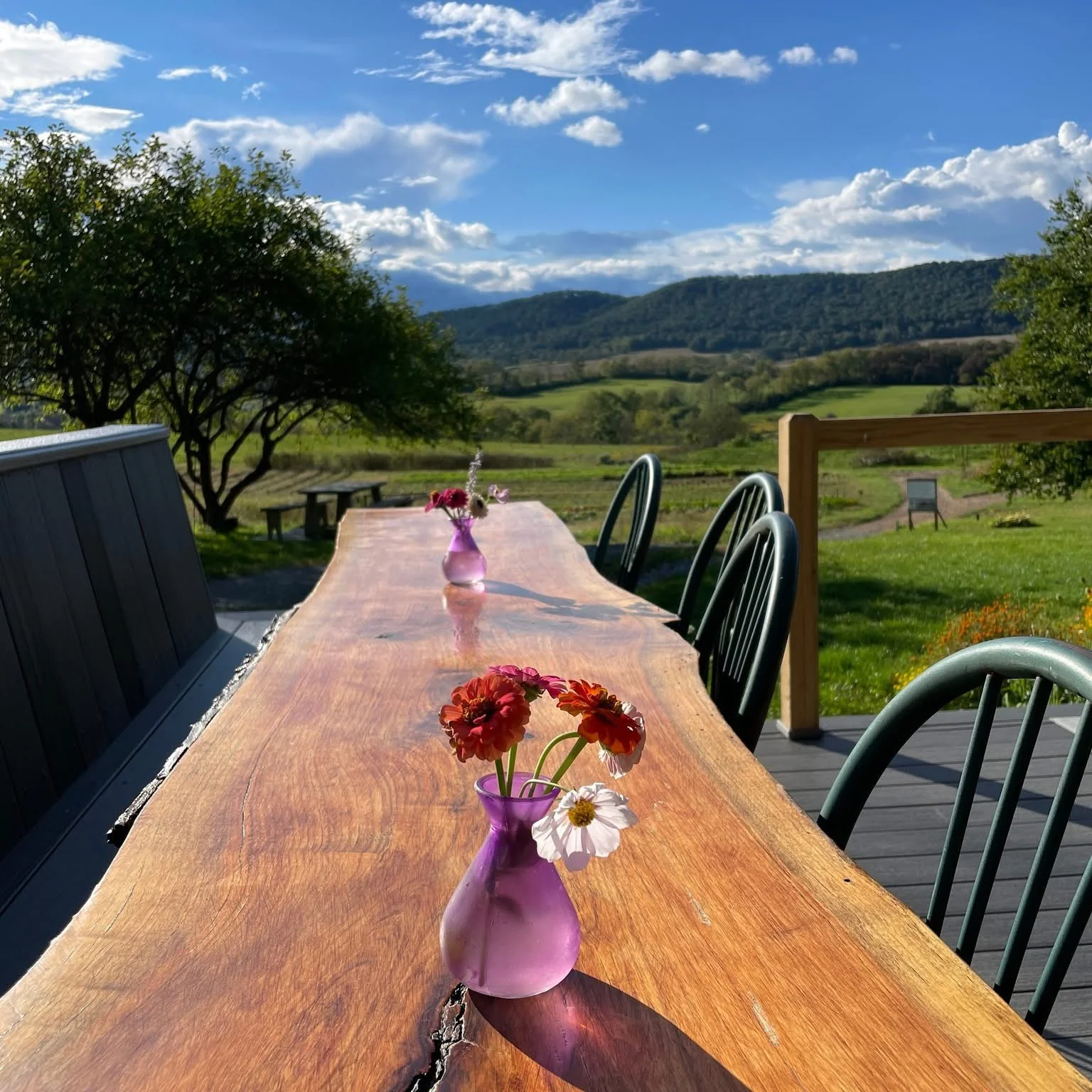 Outdoor dining table with flowers and scenic mountain view