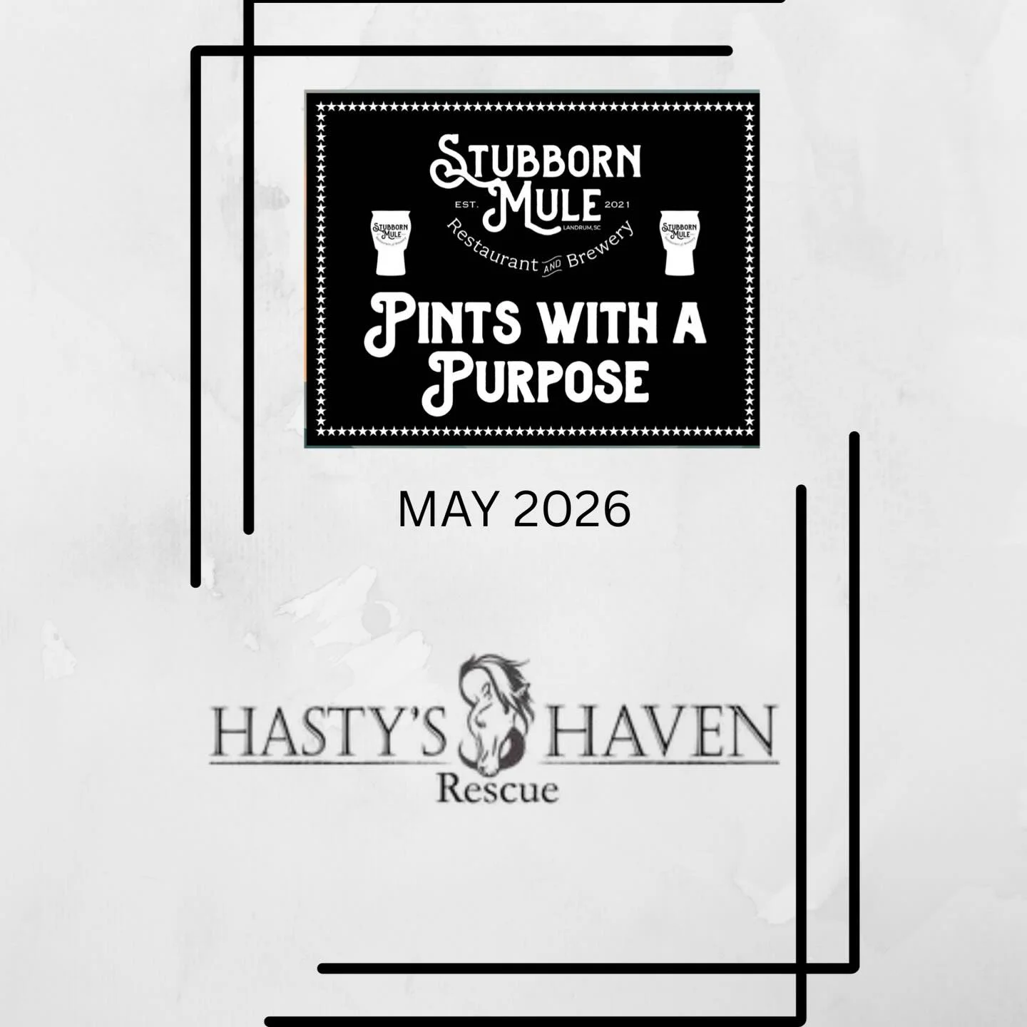 Promotional event for Stubborn Mule's charity initiative