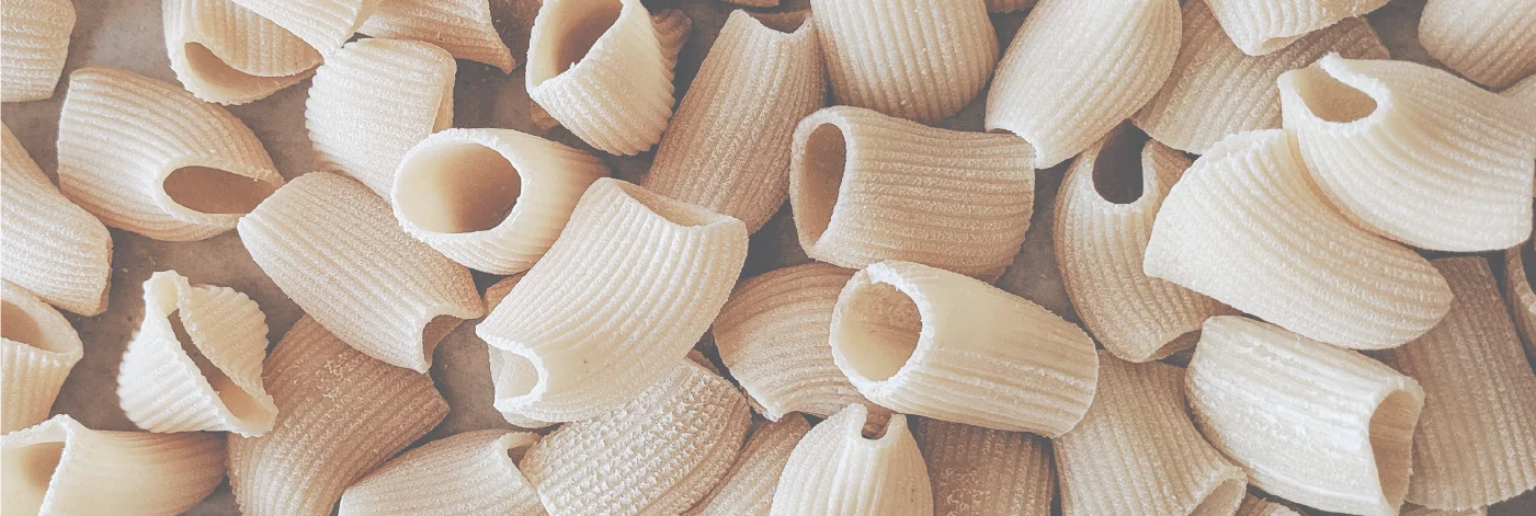 Dried Italian pasta shells for cooking