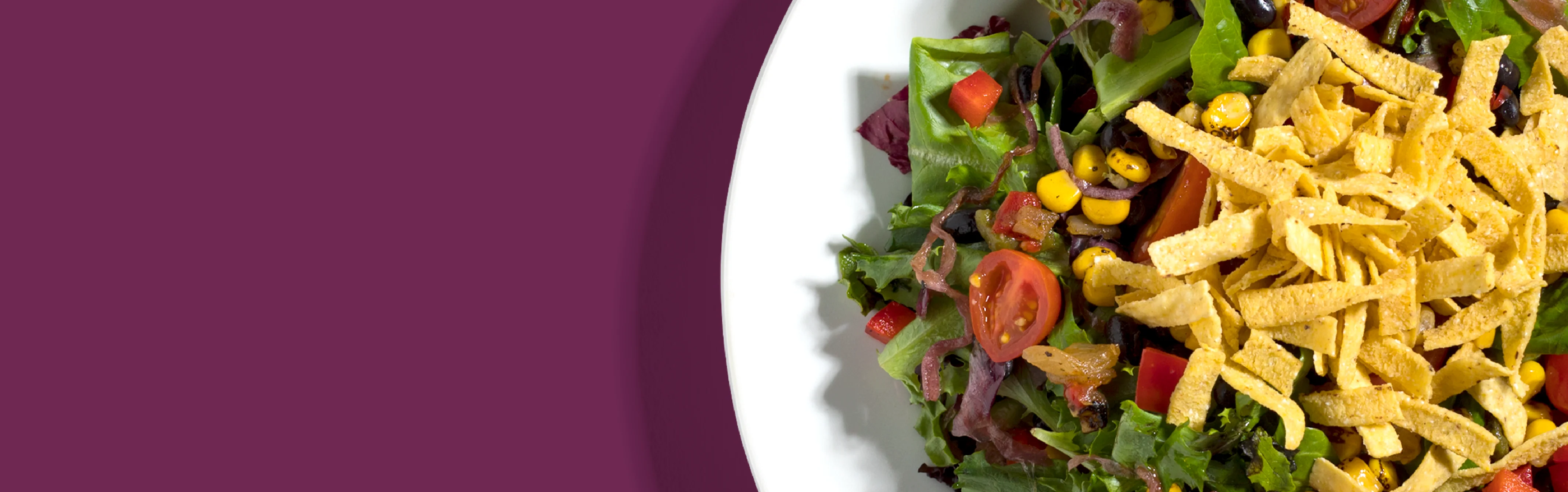 Colorful Mexican salad with tortilla strips