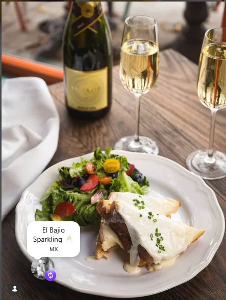 A beautifully plated dish featuring a portion of meat topped with melted cheese, accompanied by a fresh salad of mixed greens and cherry tomatoes. Sparkling wine is set in the background.