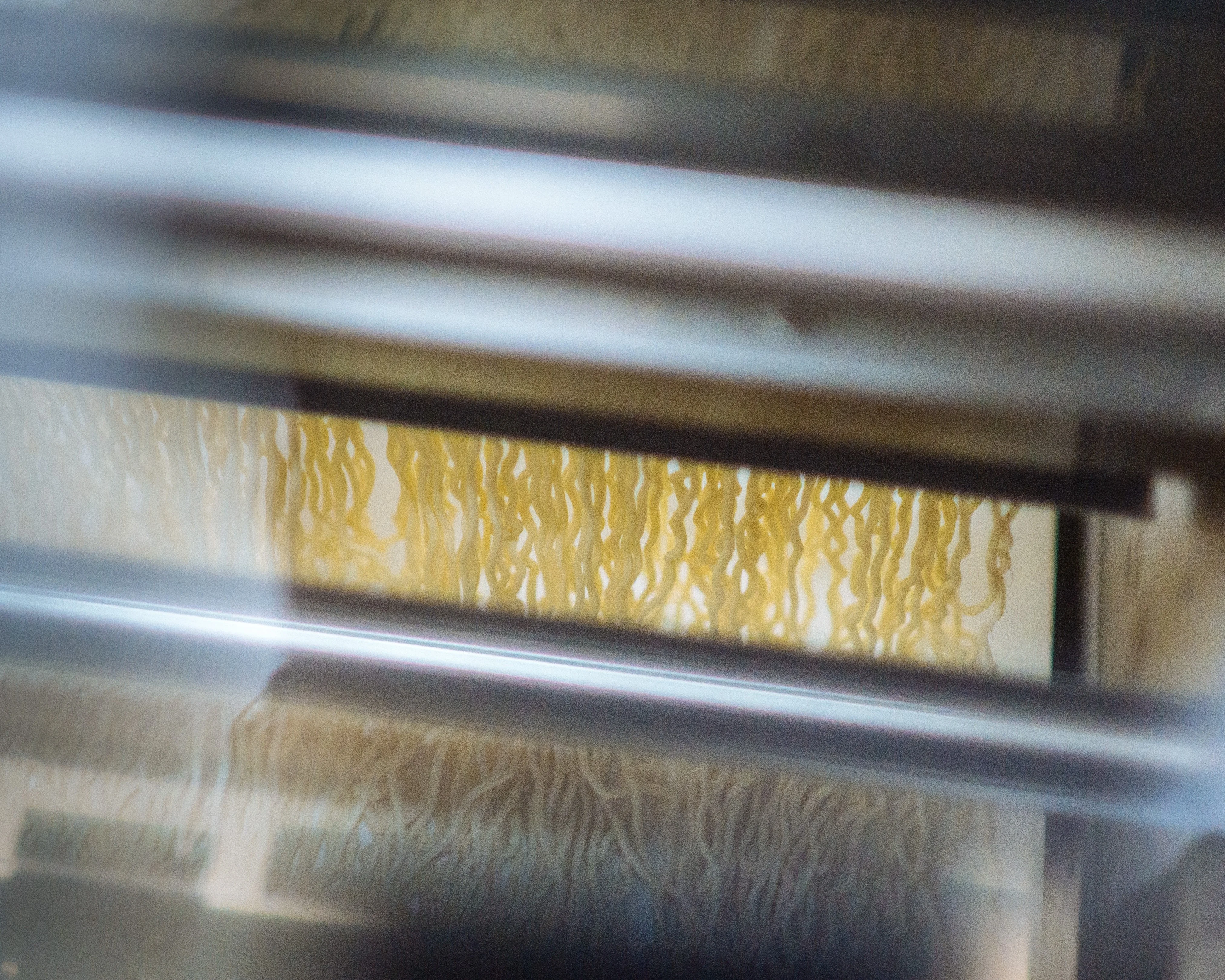Fresh ramen noodles being cut from a sheet of dough at Goma Tei.