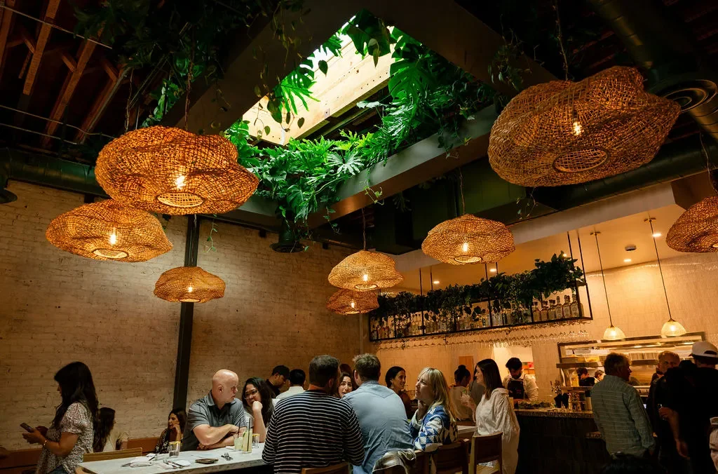 Cozy restaurant interior with woven lighting and greenery