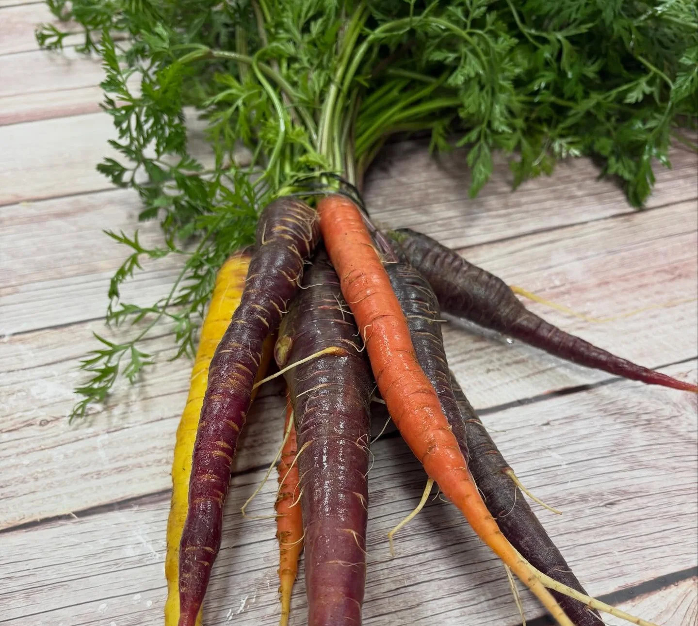 Colorful heirloom carrots with green tops on a wooden surface