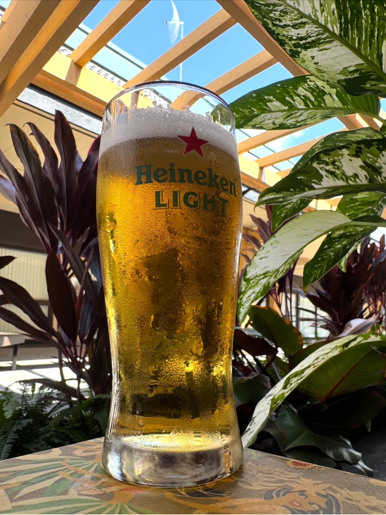 Chilled Heineken Light beer in a glass surrounded by greenery