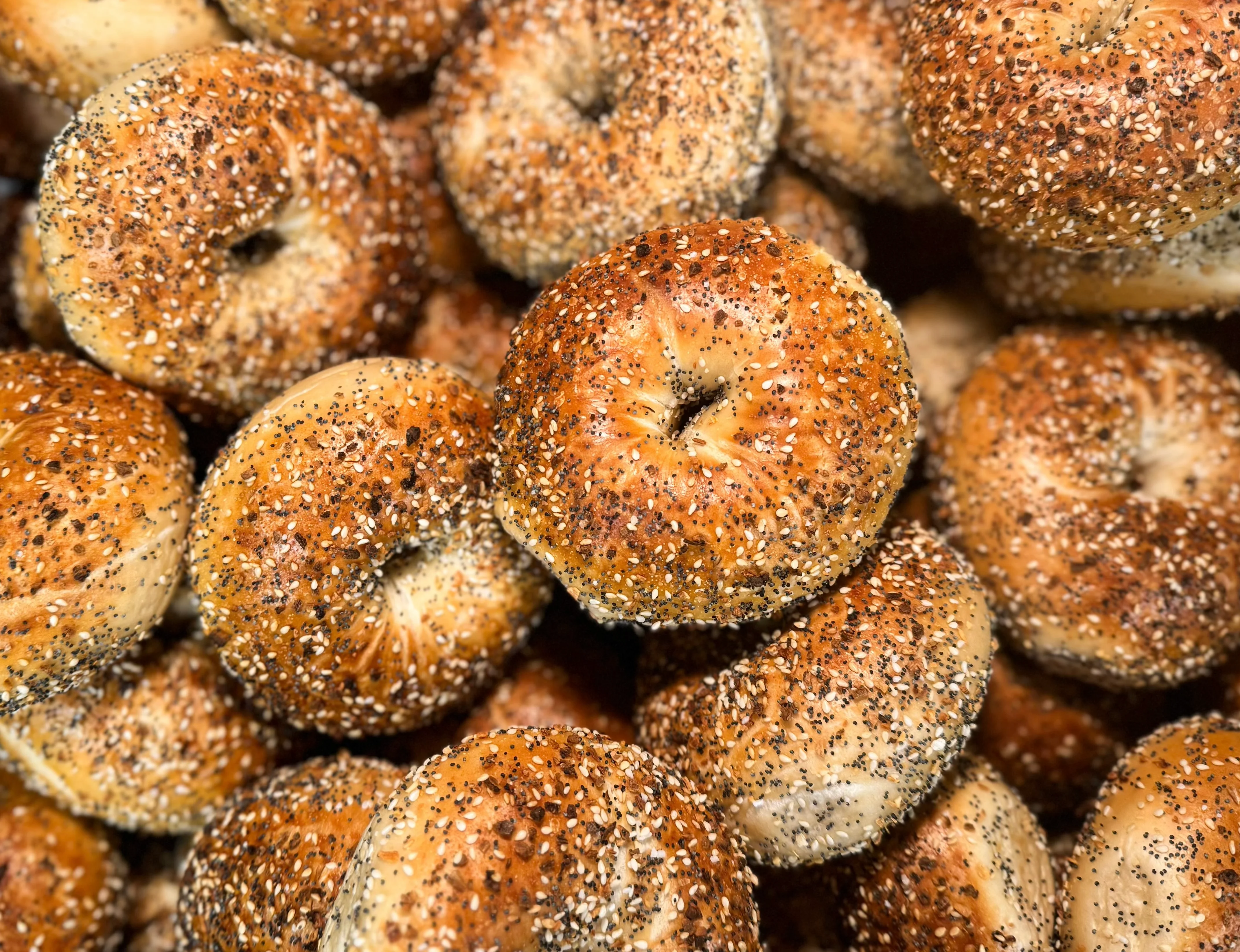 Freshly baked everything bagels stacked high