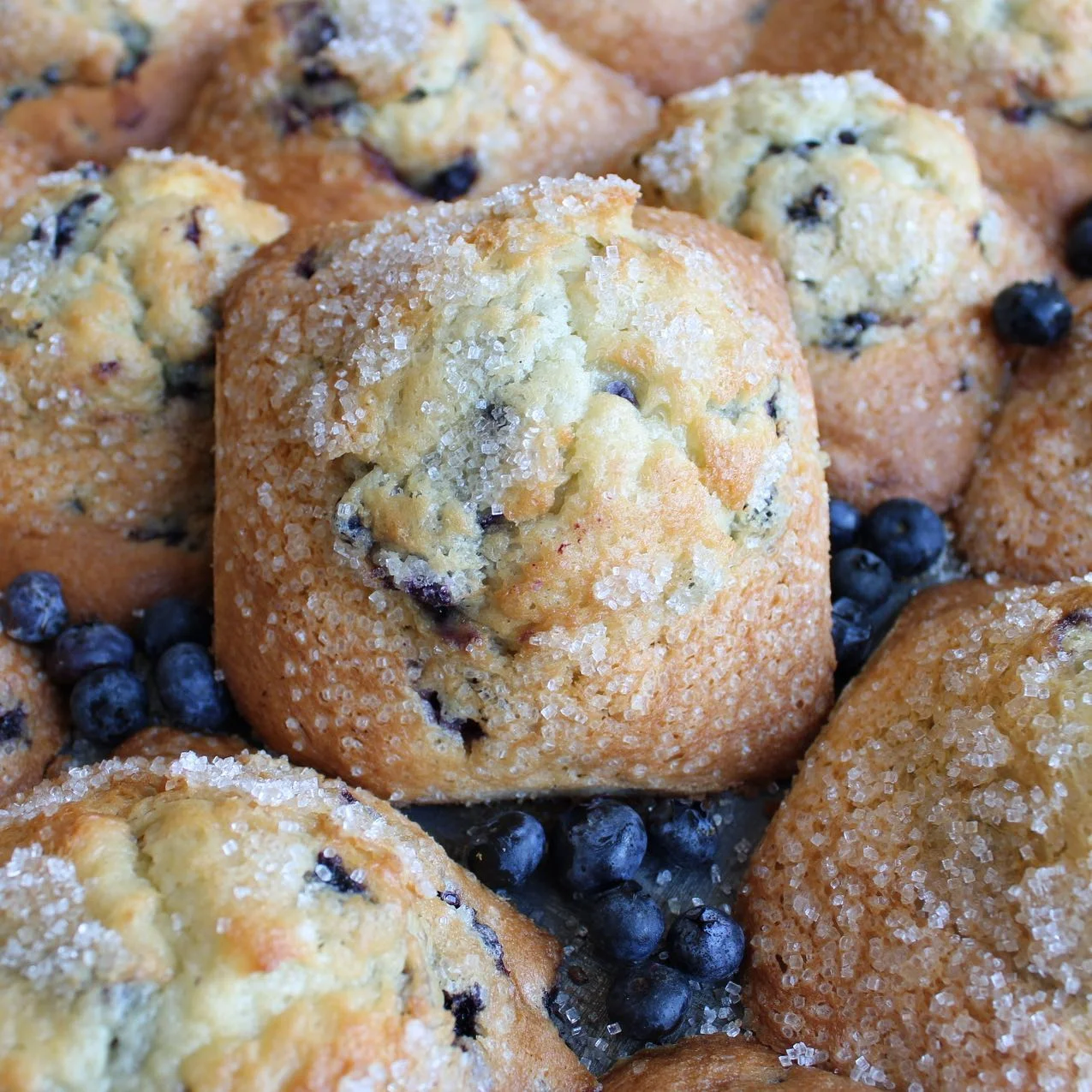BB MUFFINS