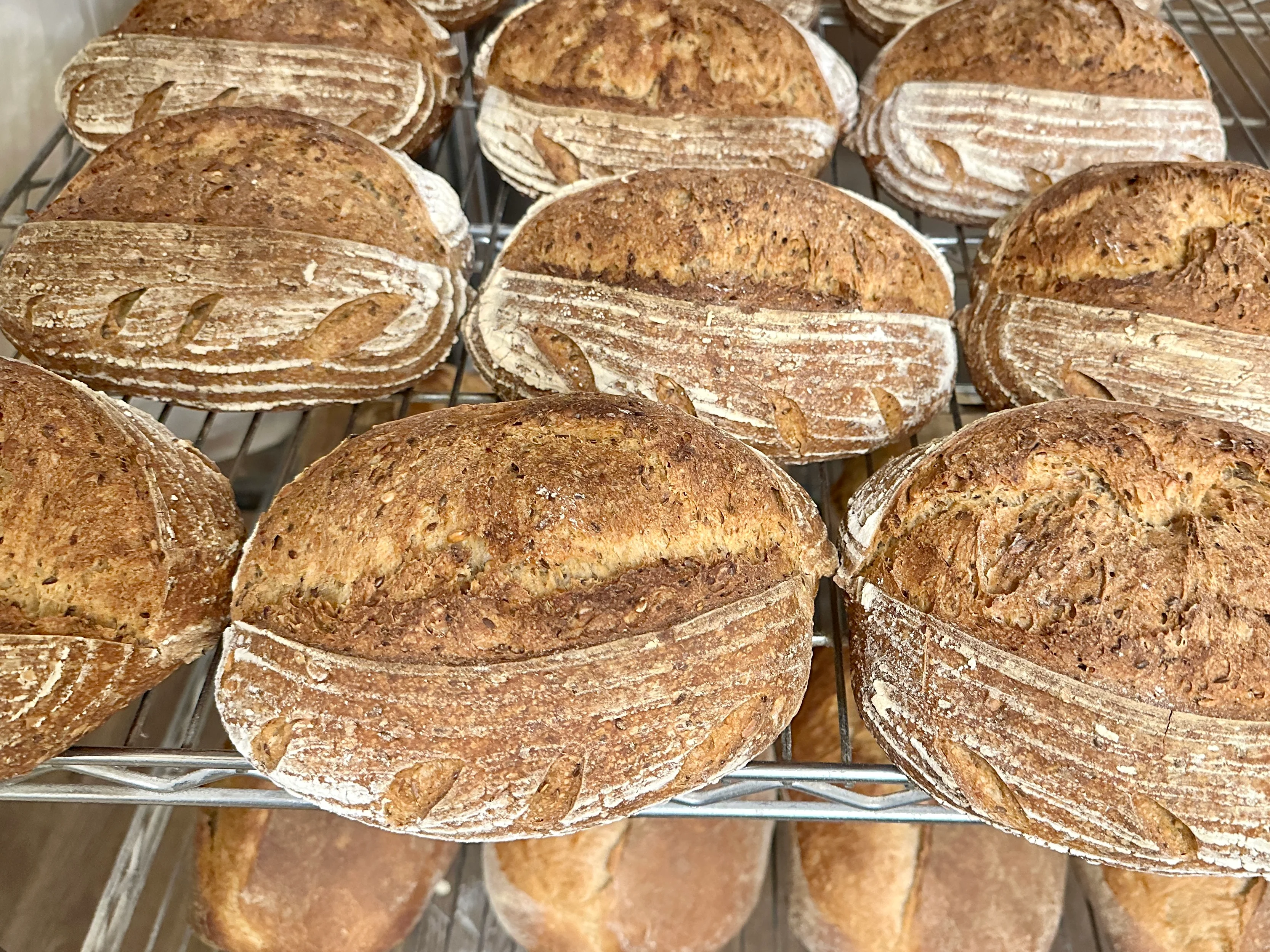 Artisan sourdough loaves cooling on a rack