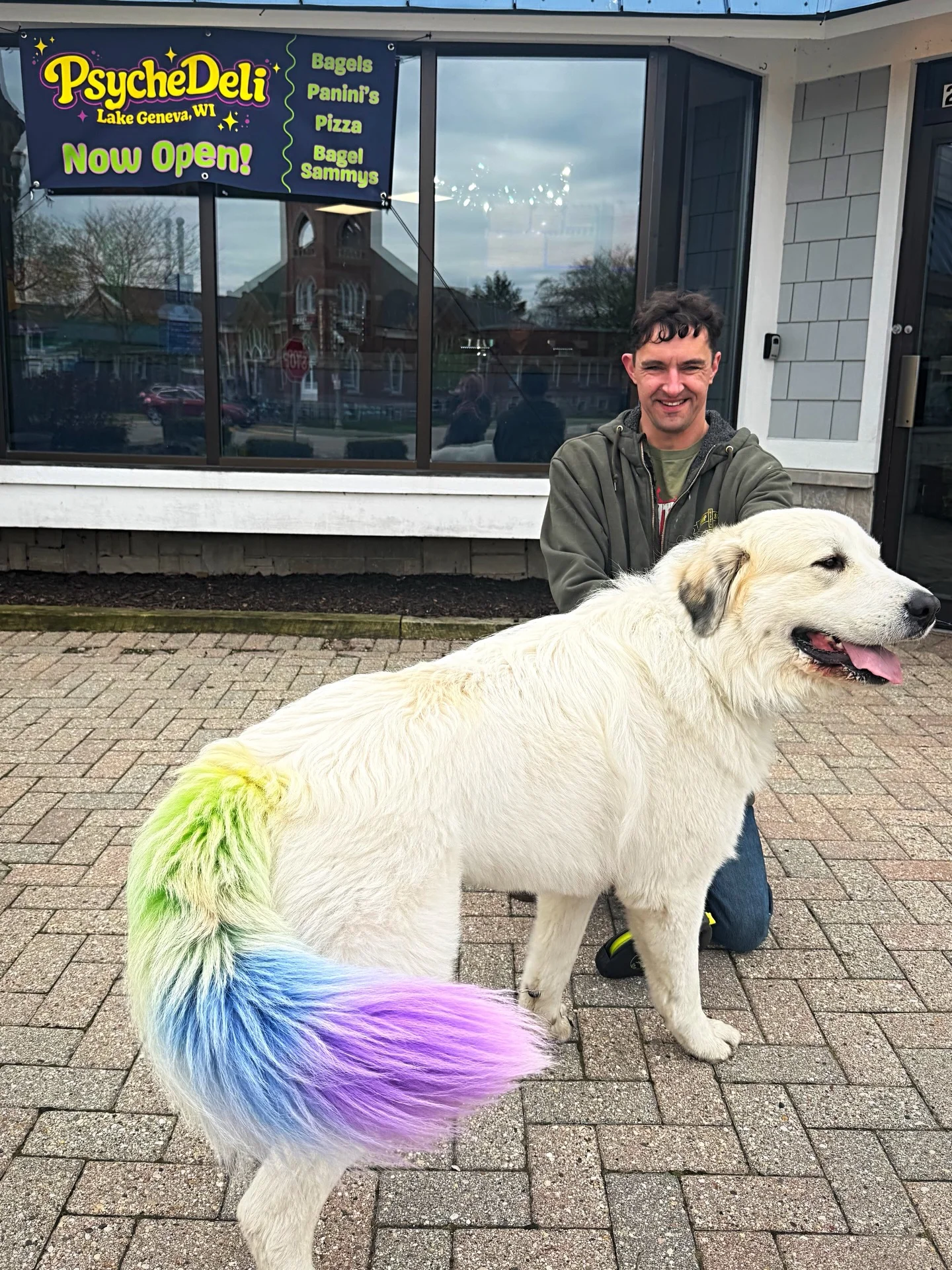 Dog with colorful tail in front of PsycheDeli restaurant