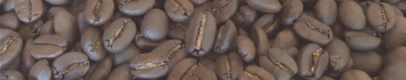 Close-up of roasted coffee beans ready for brewing
