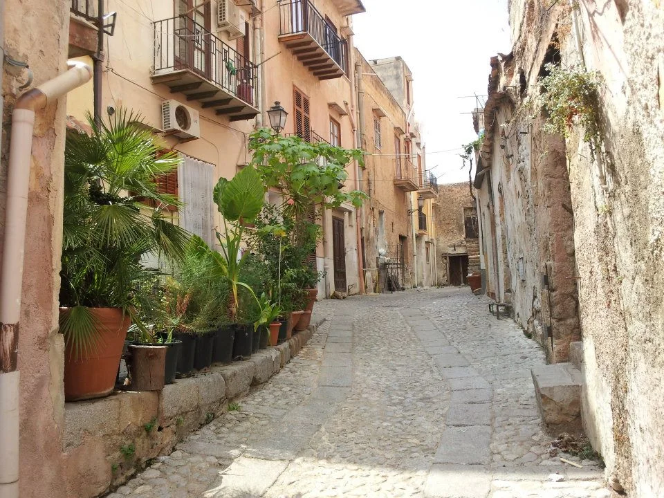 A narrow cobblestone street lined with traditional buildings and potted plants.