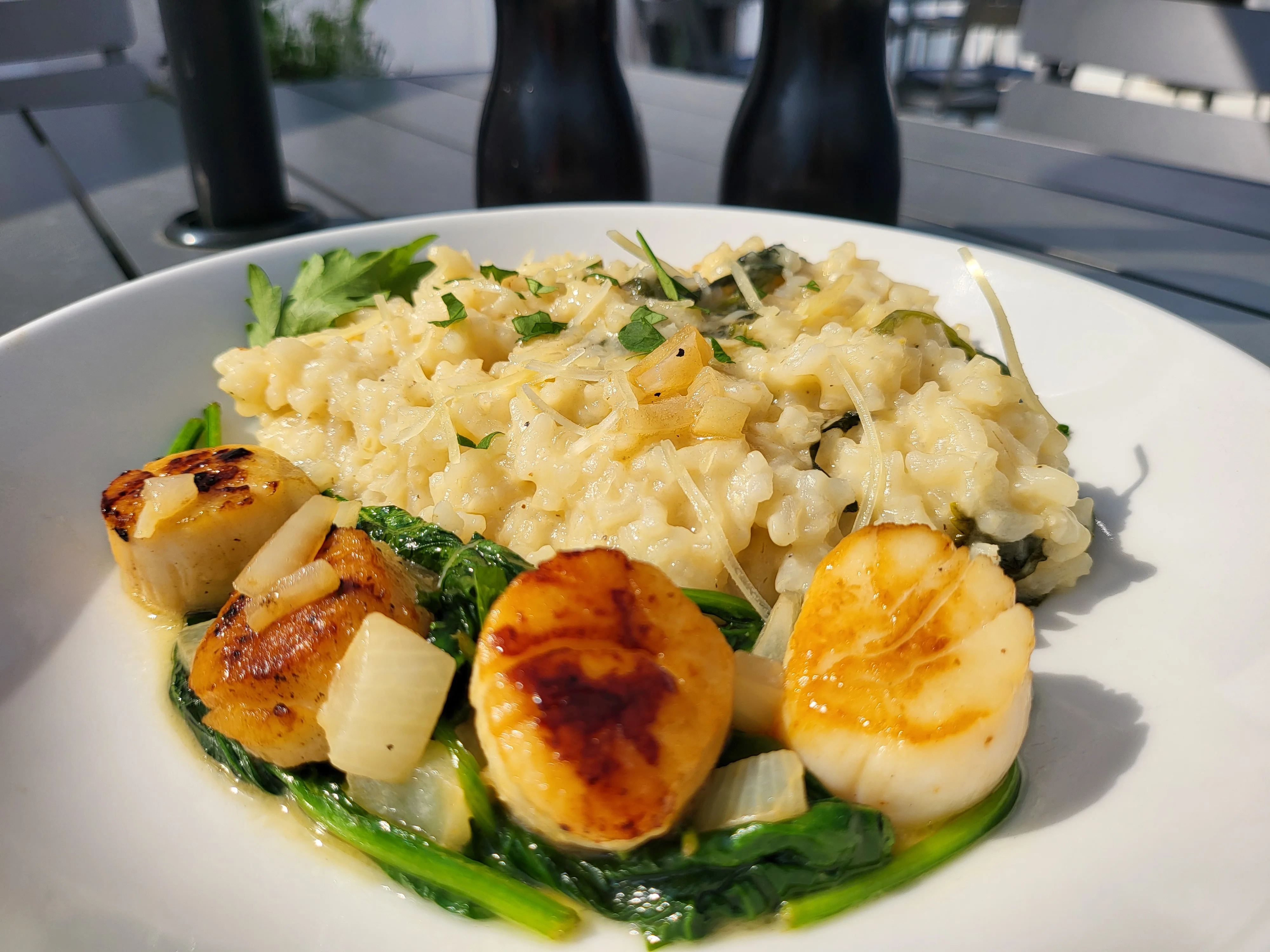 Creamy risotto with seared scallops and sautéed spinach on a white plate.