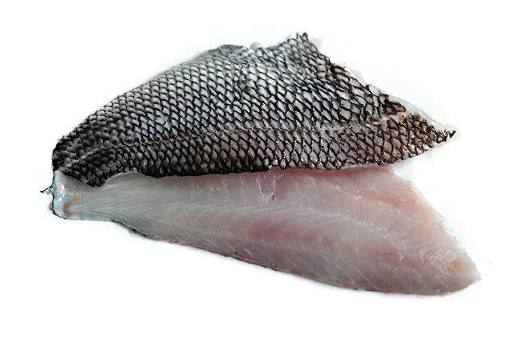 black sea bass