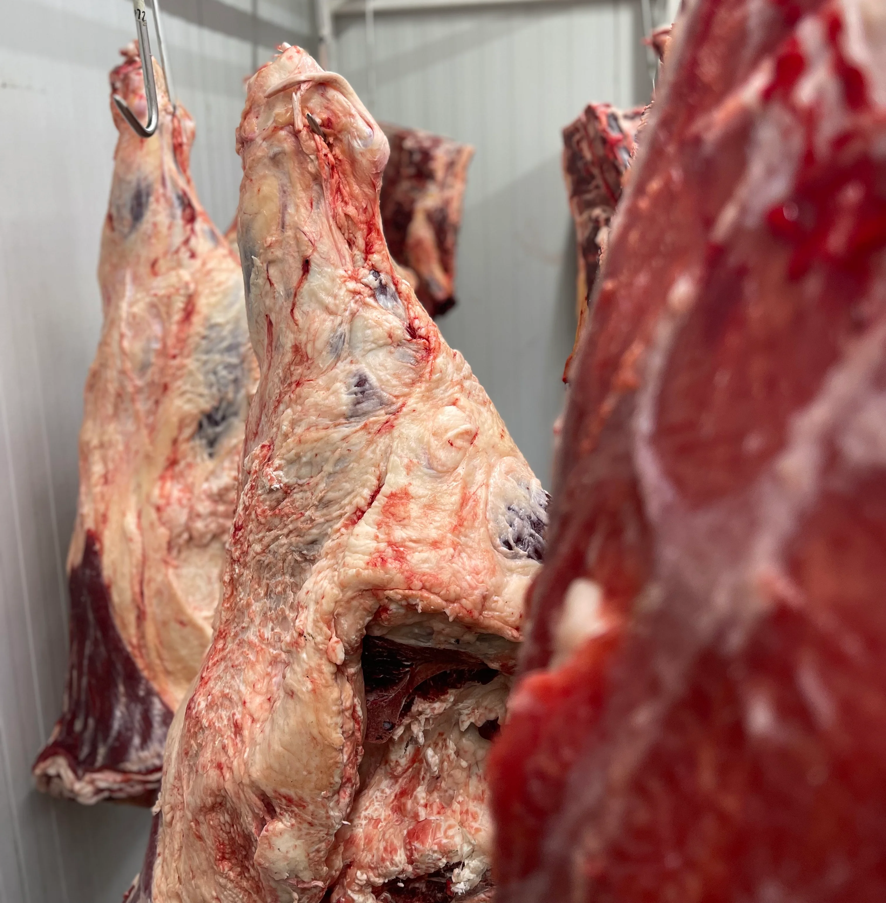 Hanging cuts of beef in a meat processing facility