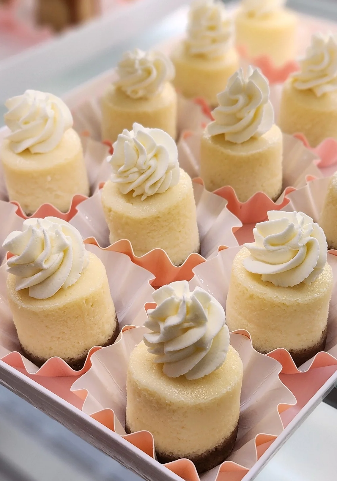 Mini cheesecakes with whipped cream topping