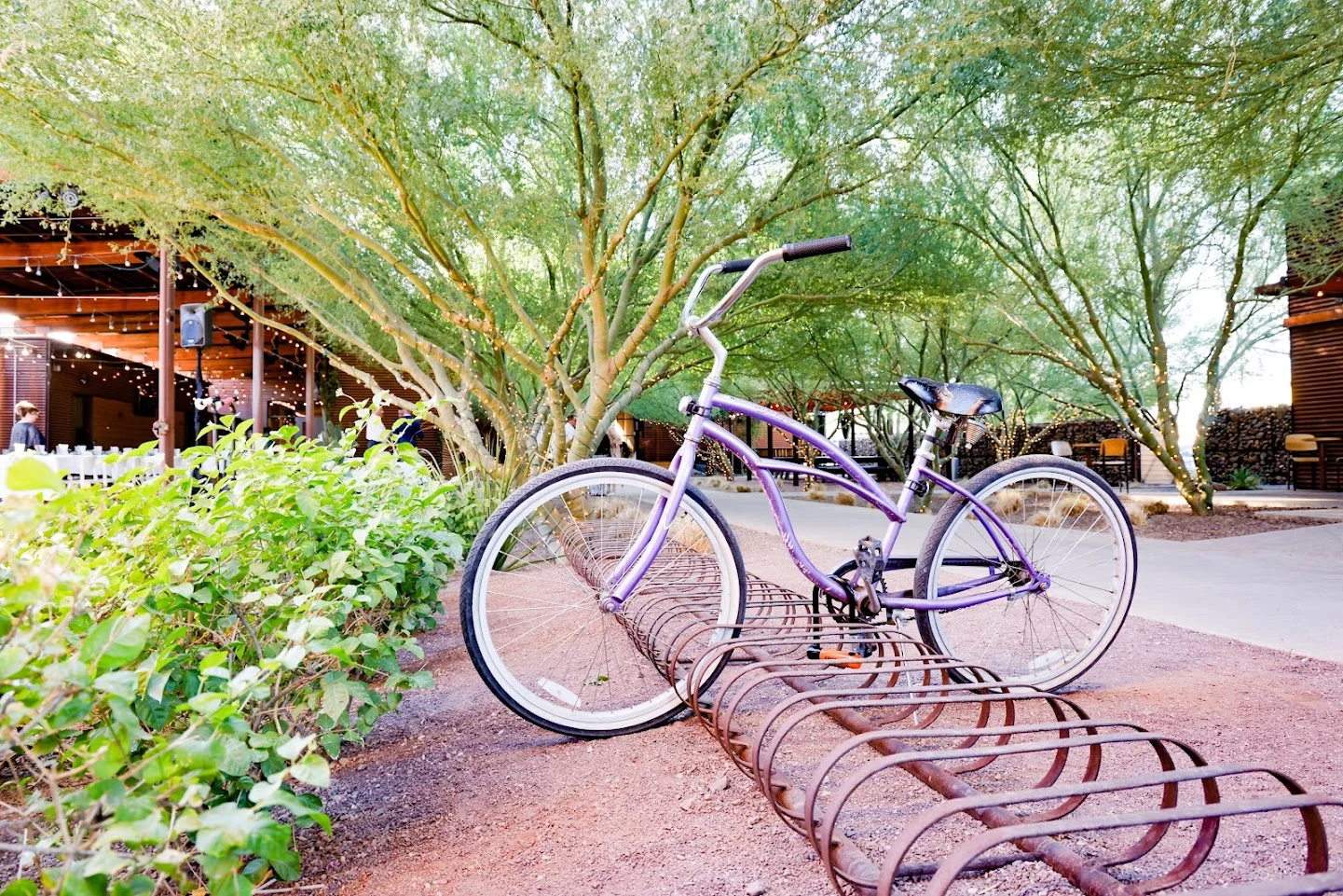 Purple bicycle parked in a garden setting with trees and rustic decor