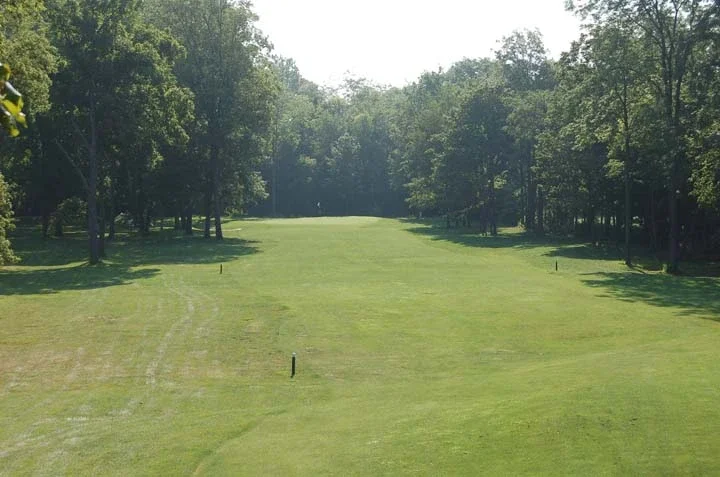 Lush green golf course fairway surrounded by trees