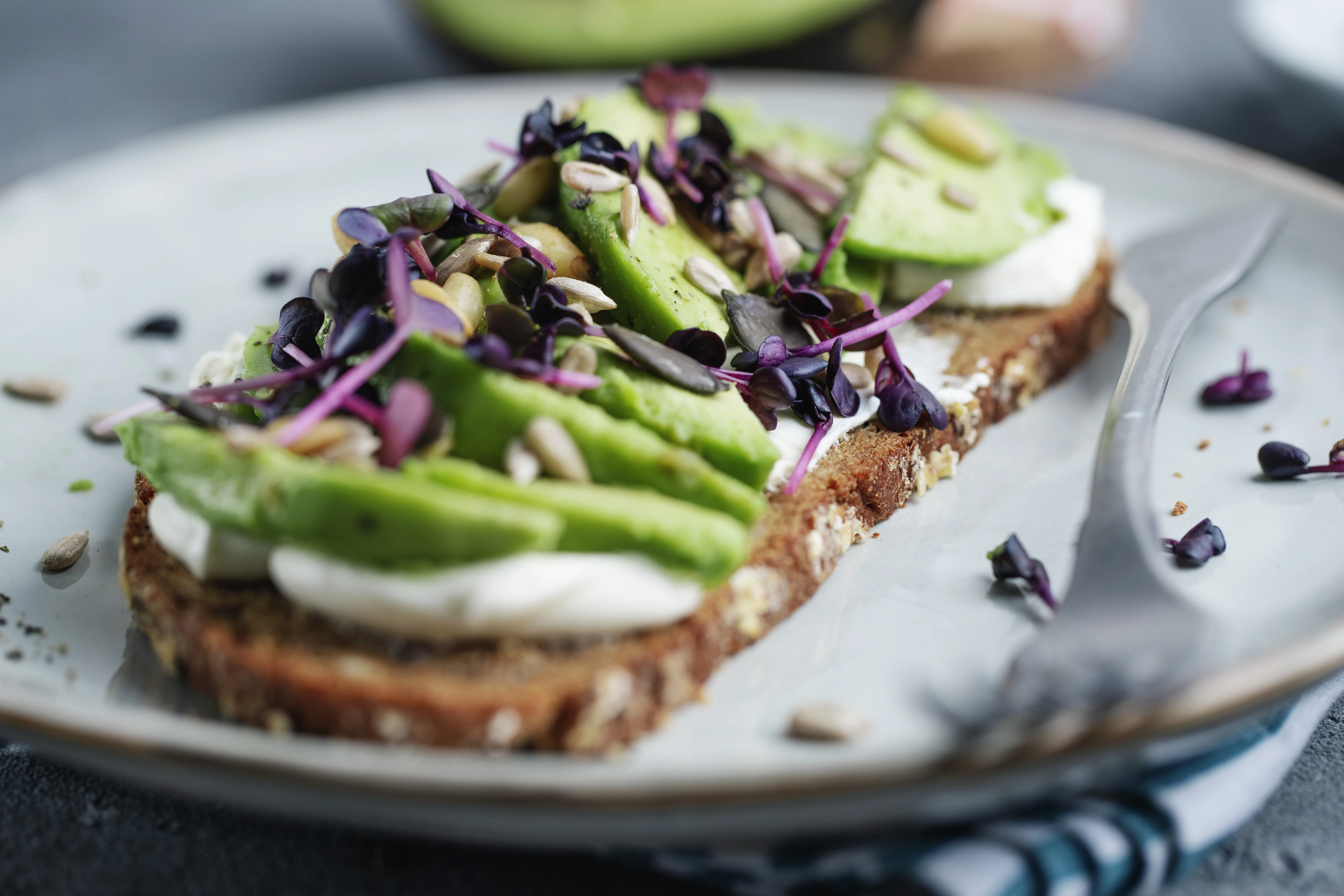 A plate of toast topped with avocado and garnished with herbs.