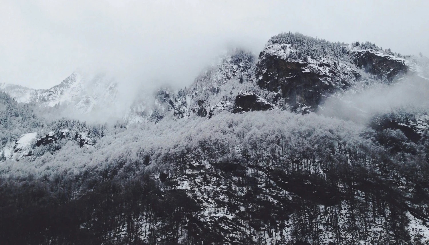 A mountain ridge covered in snow, frost, and fog.