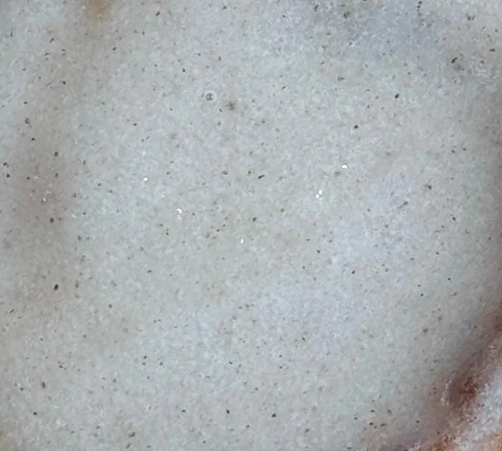 Sourdough Cinnamon Roll