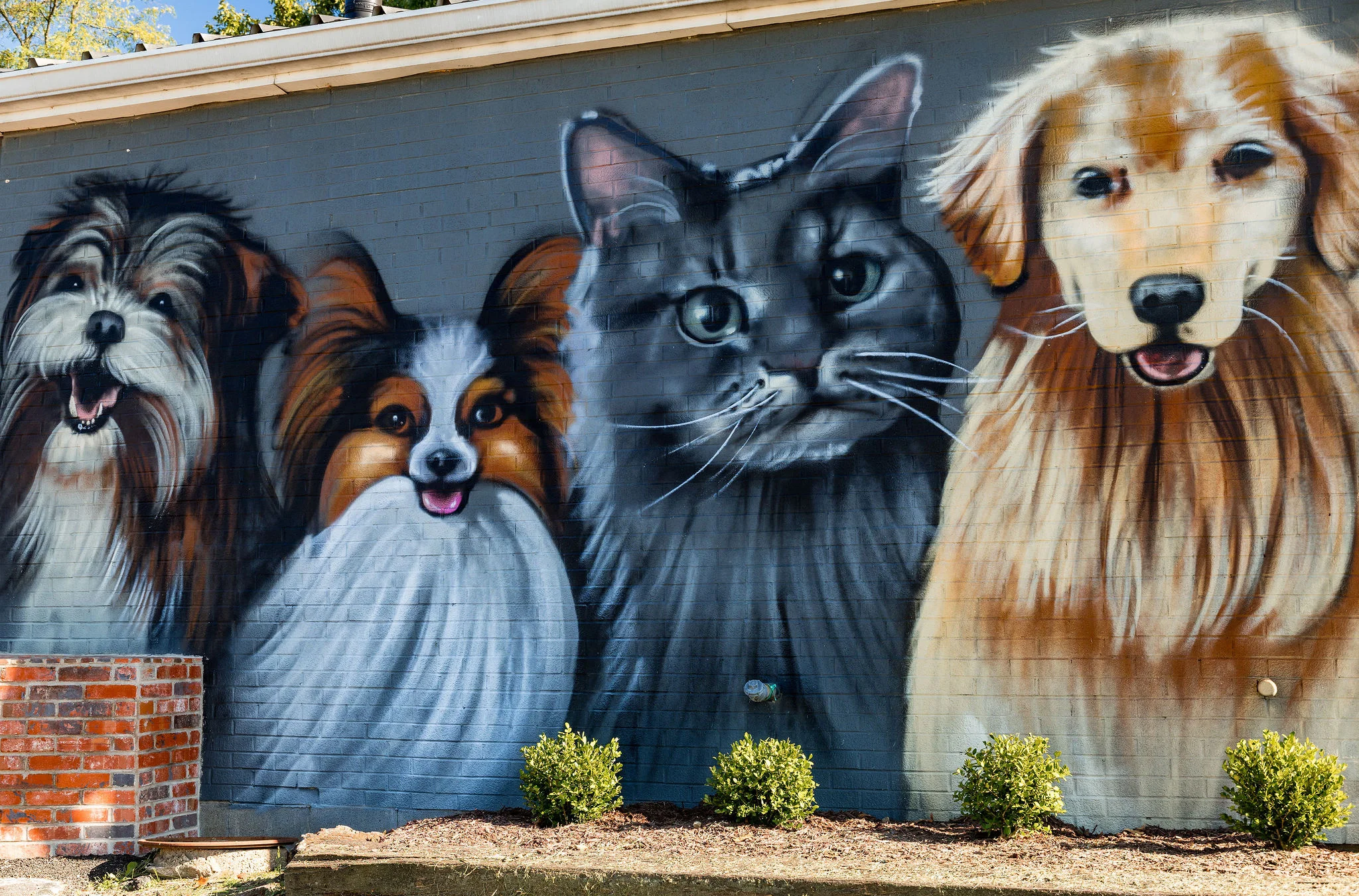 Colorful mural of four happy pets on a brick wall