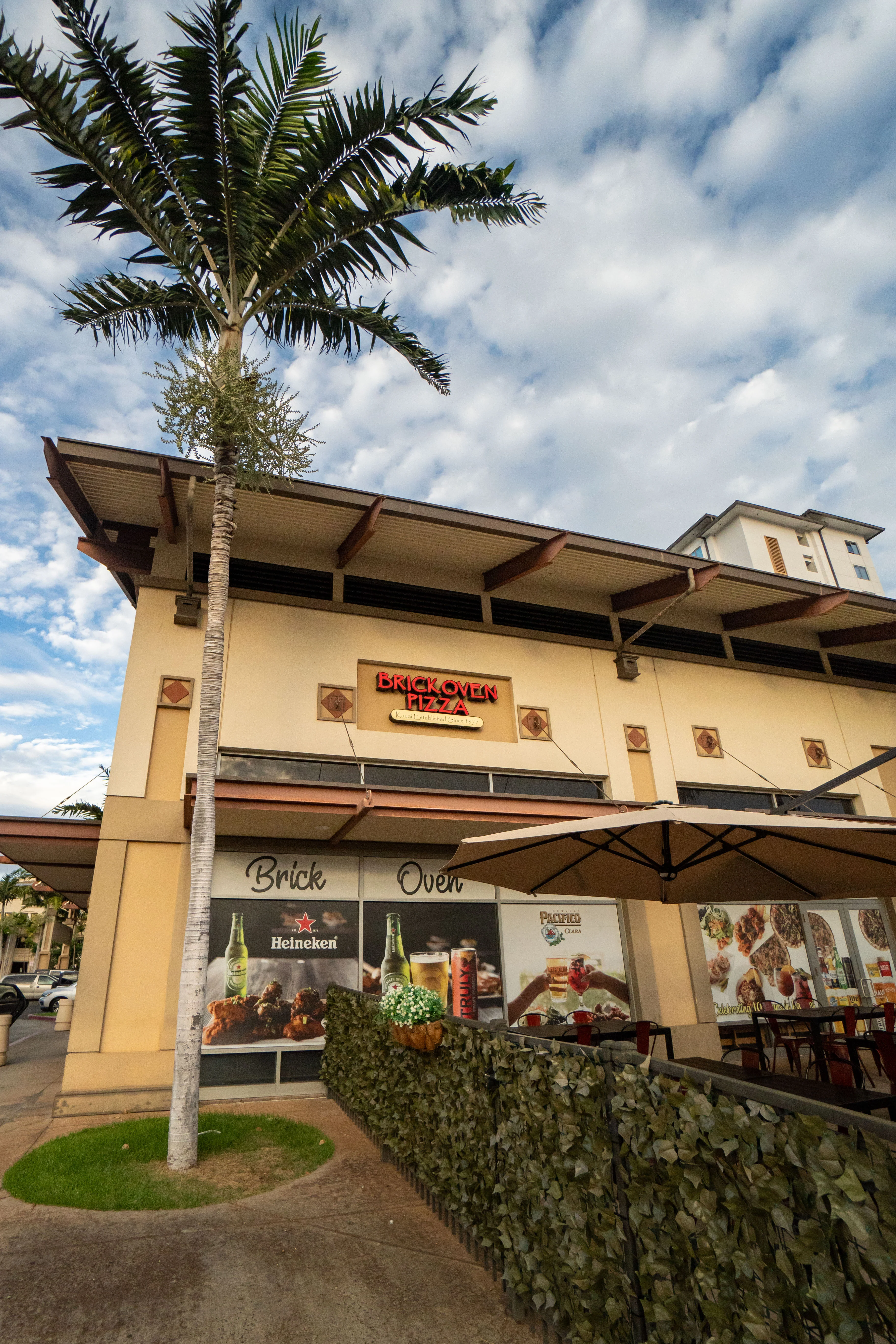Exterior view of Brick Oven Pizza restaurant with palm tree