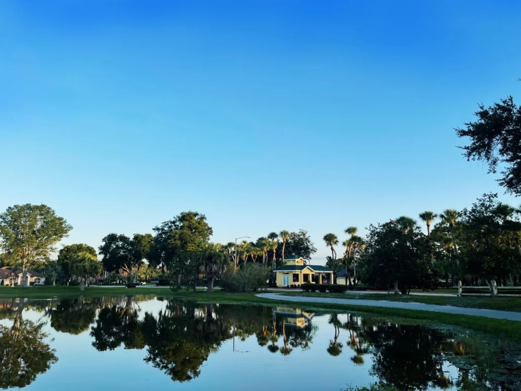 Scenic park view with palm trees and a tranquil pond reflection