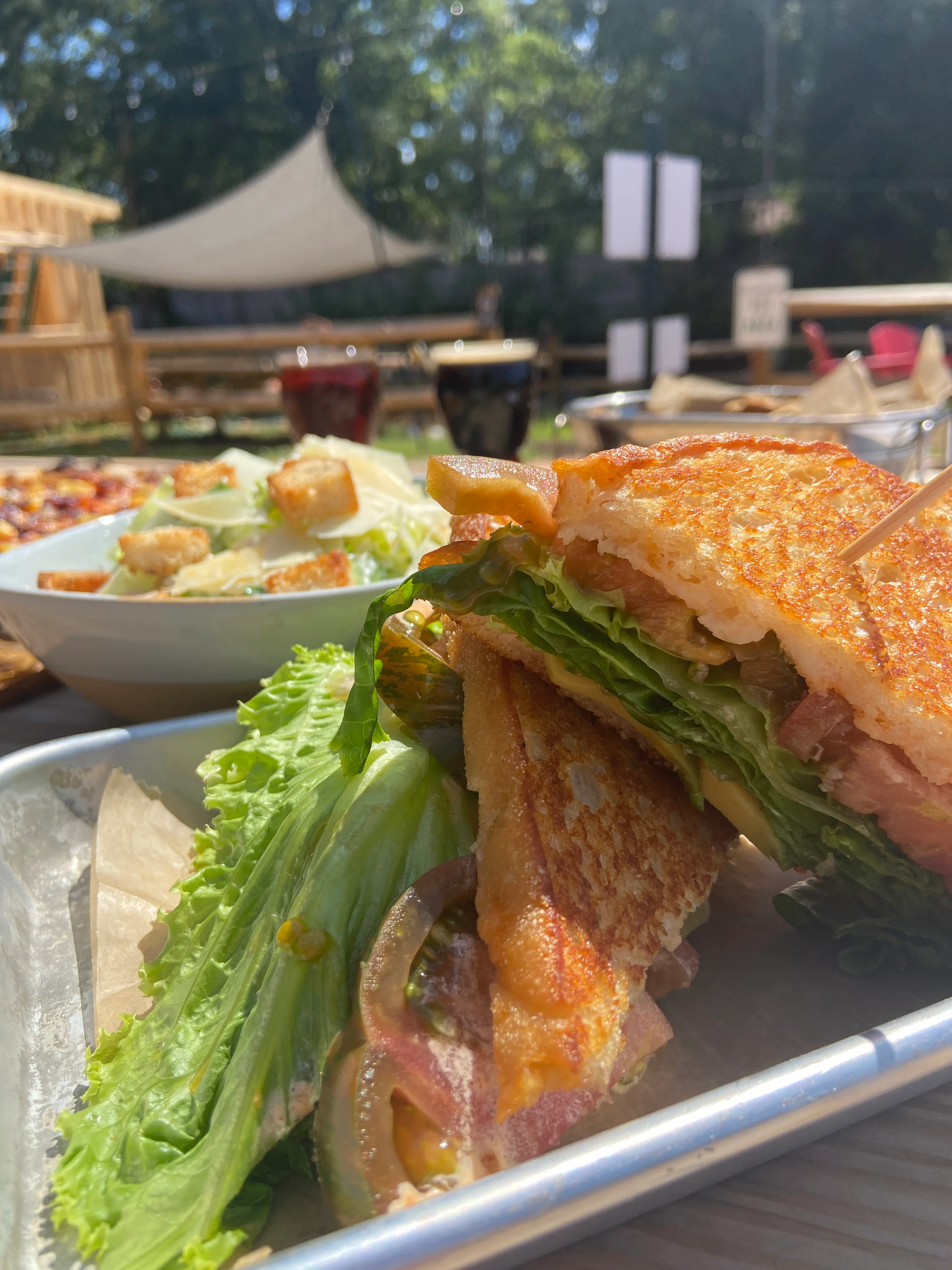 Grilled cheese sandwich with fresh greens and salad on a sunny patio