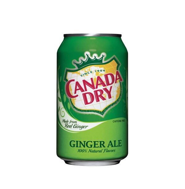 Torrance Yokocho - [NA][D189] Ginger Ale (Canned) ジンジャー