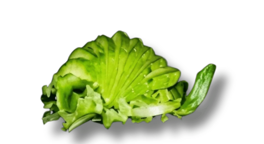 A creatively shaped green lettuce leaf resembling a snail.