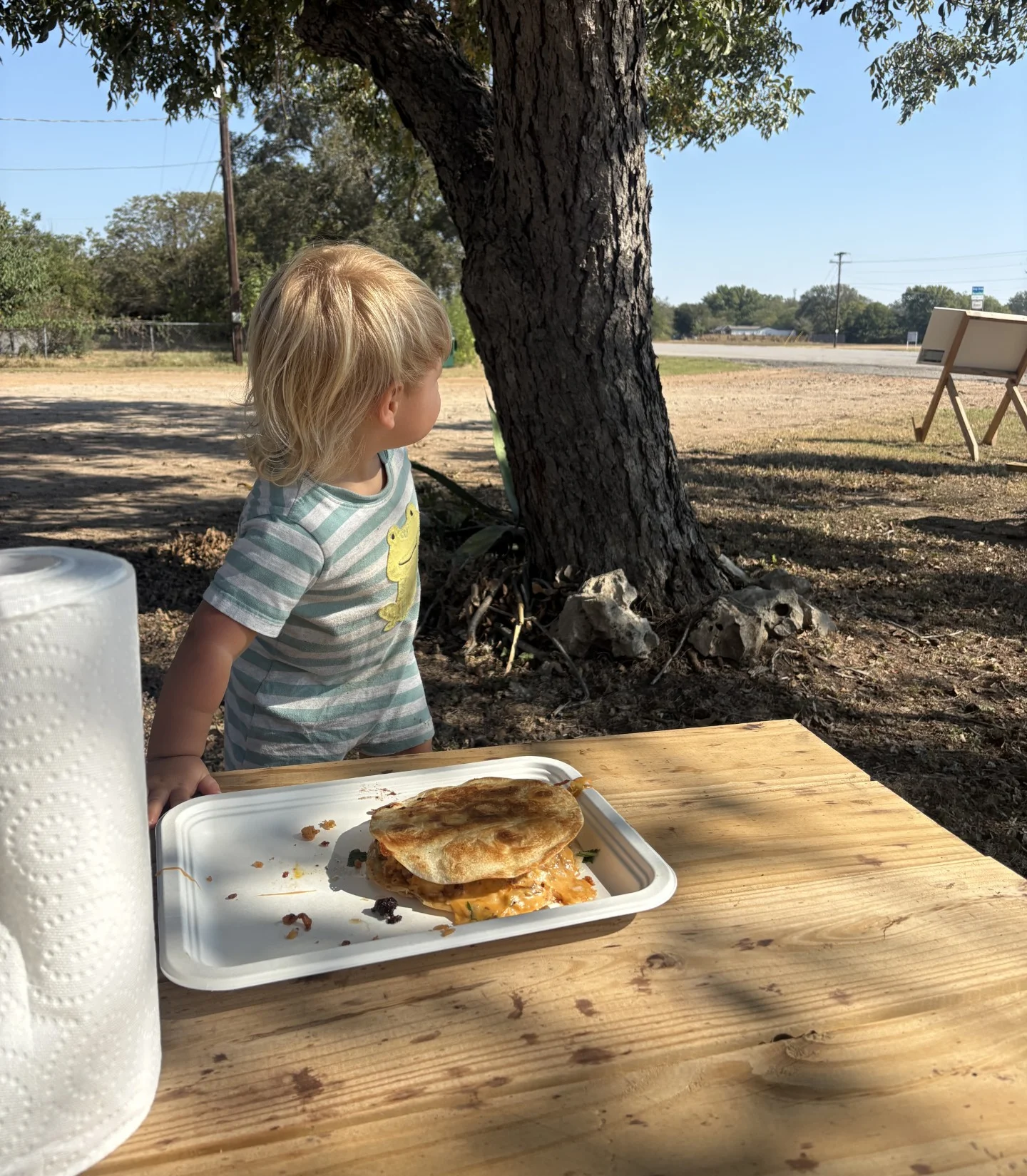 Child enjoying a savory sandwich outdoors under a tree
