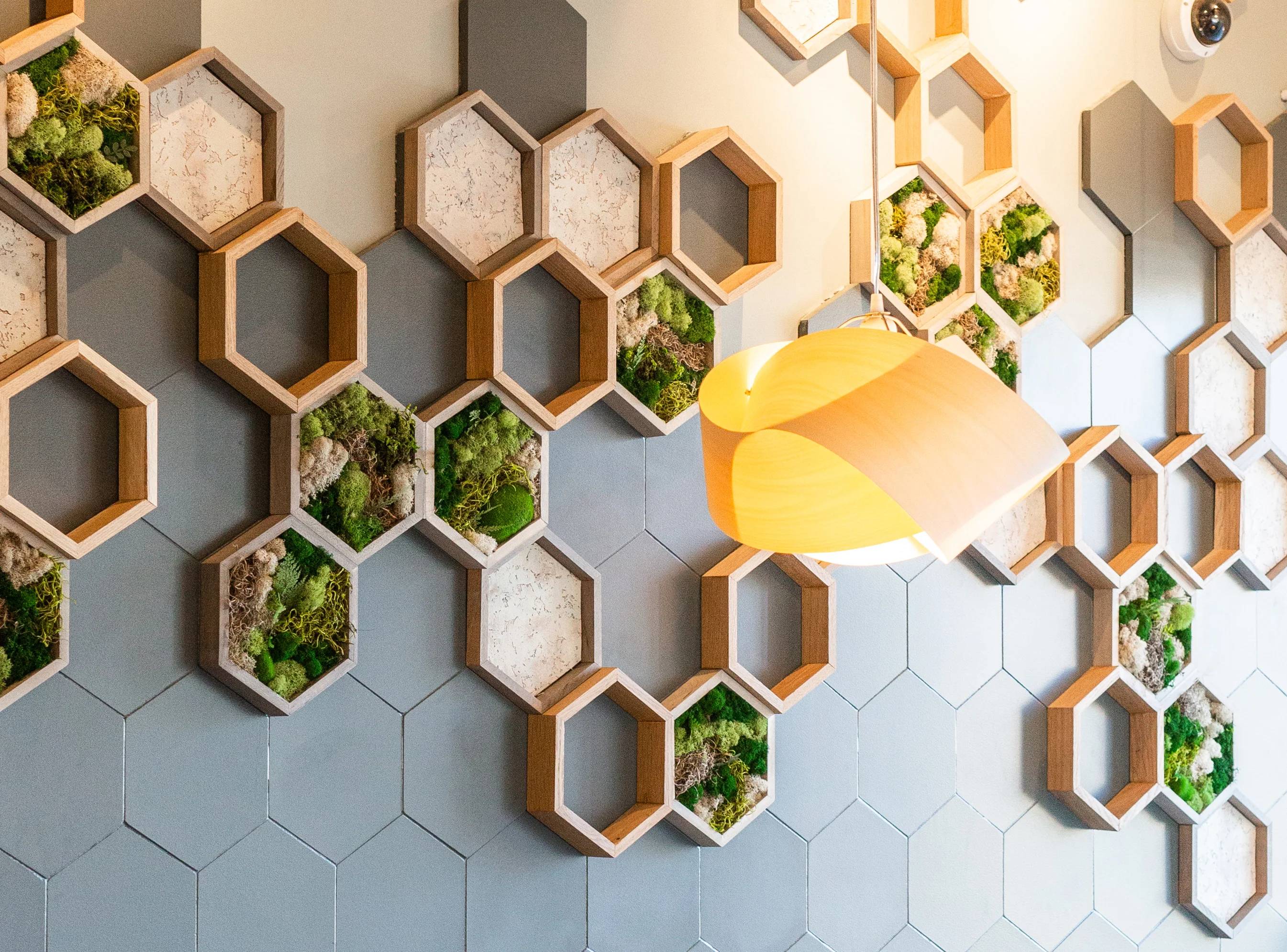Mayd Hexagonal Wall Decoration