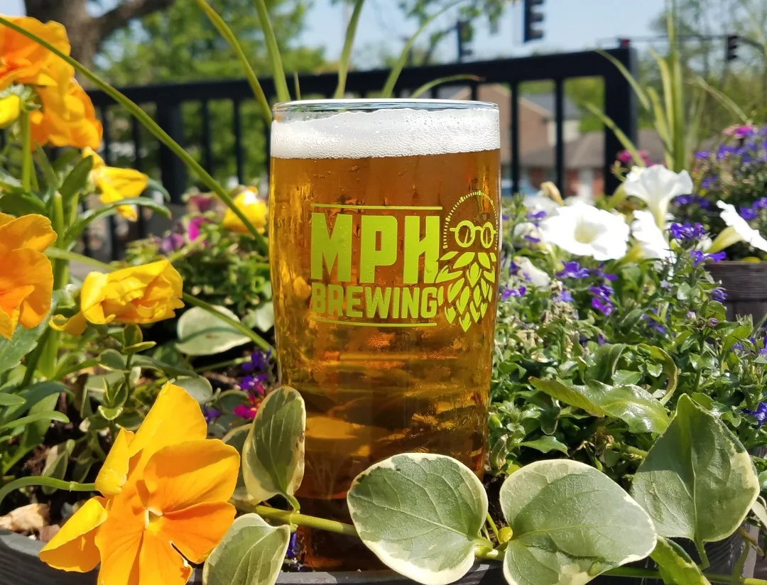 Craft beer in a glass surrounded by vibrant flowers