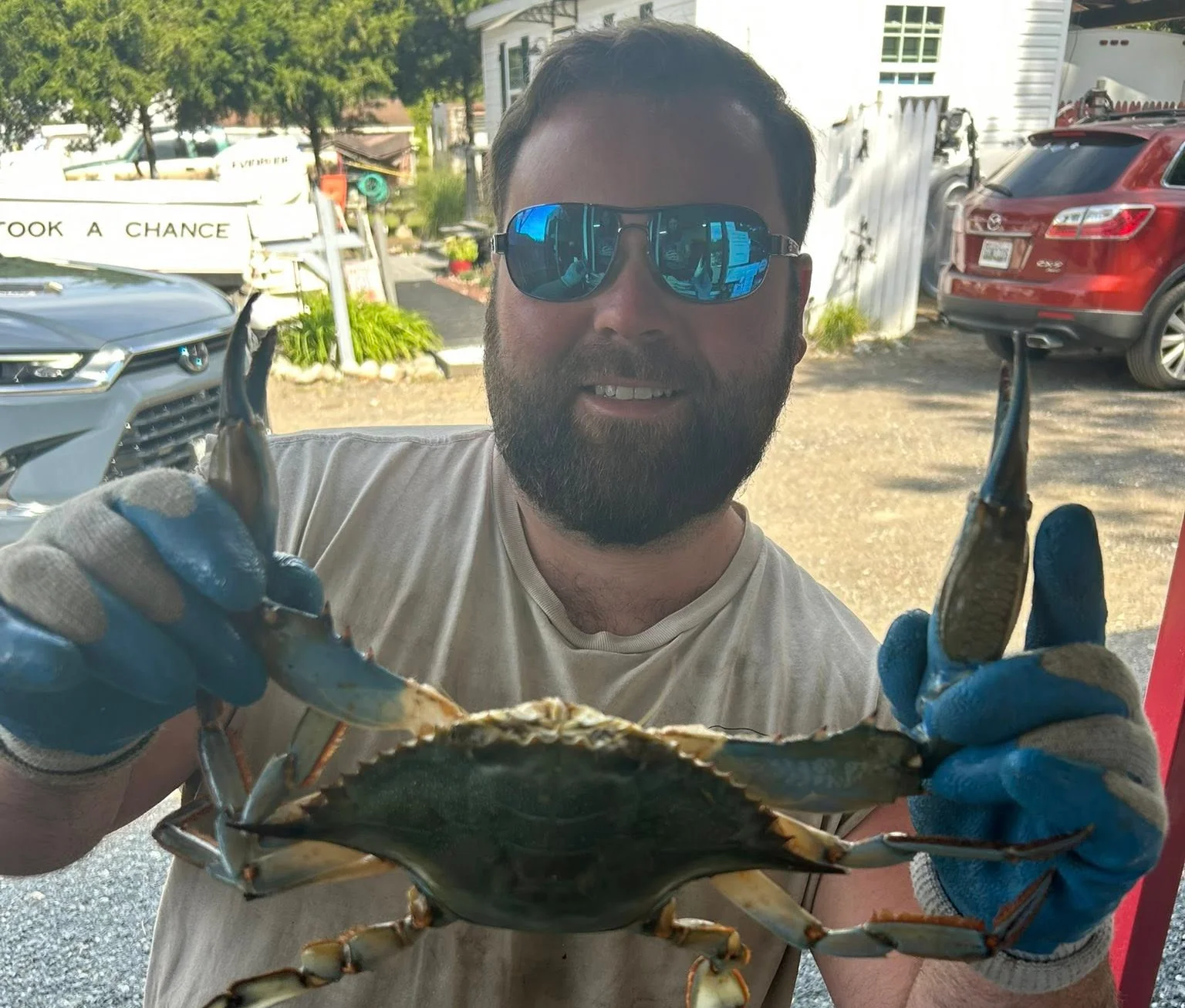 A delicious jumbo crab dish served with lemon and herbs.