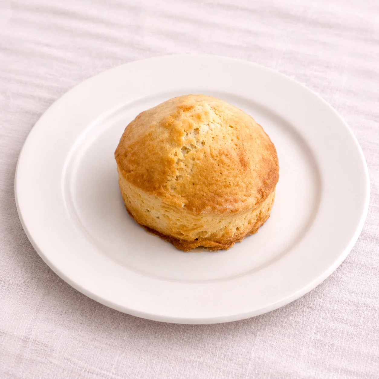Biscuit