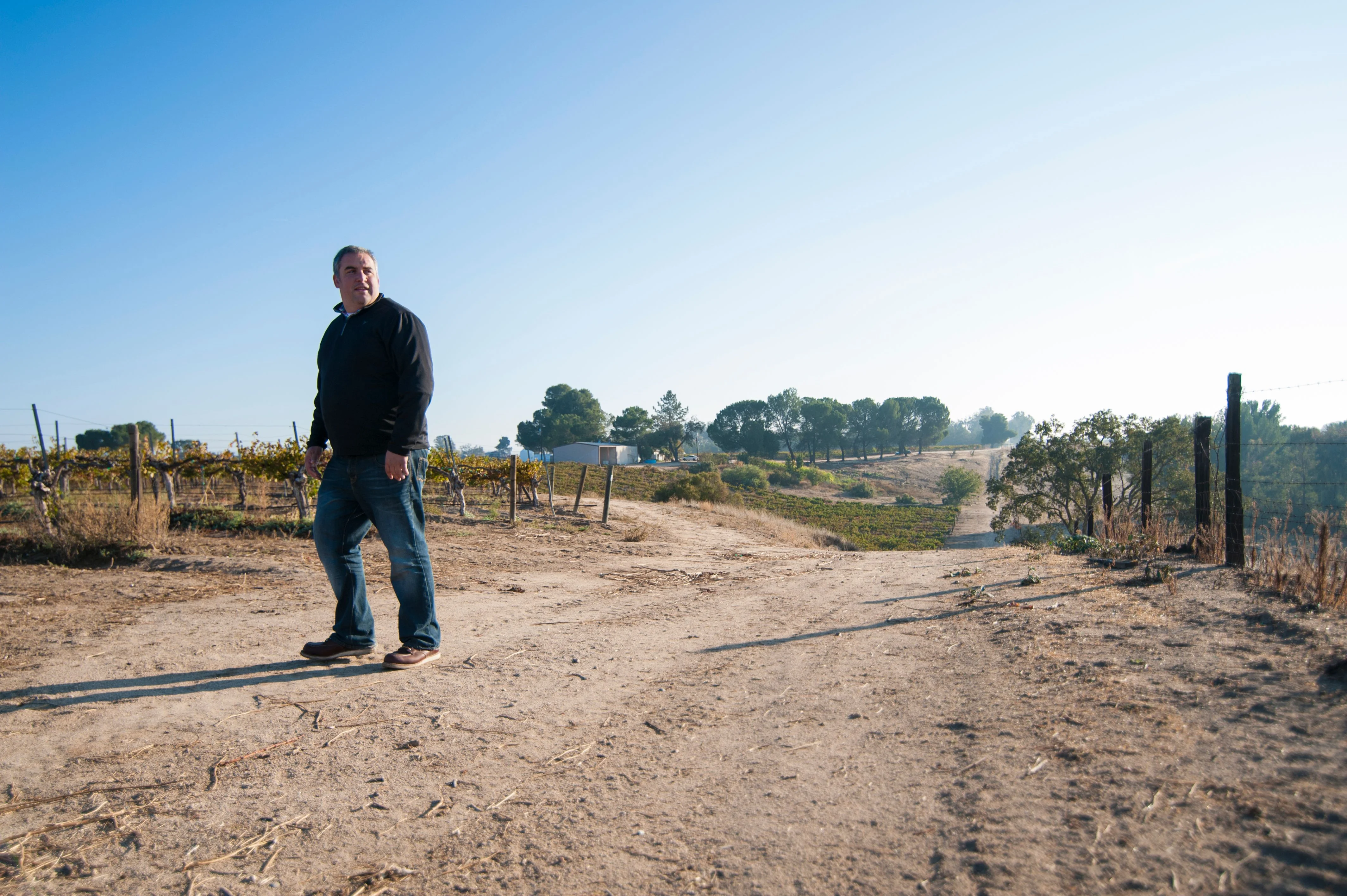 Man walking through vineyard on a sunny day