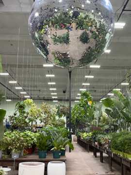 Photo from Bruno A.'s review