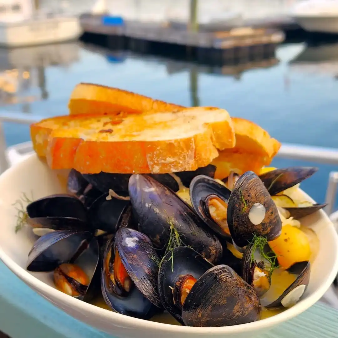 Sauteed Mussels best seafood restaurant Gloucester MA lunch on the water view