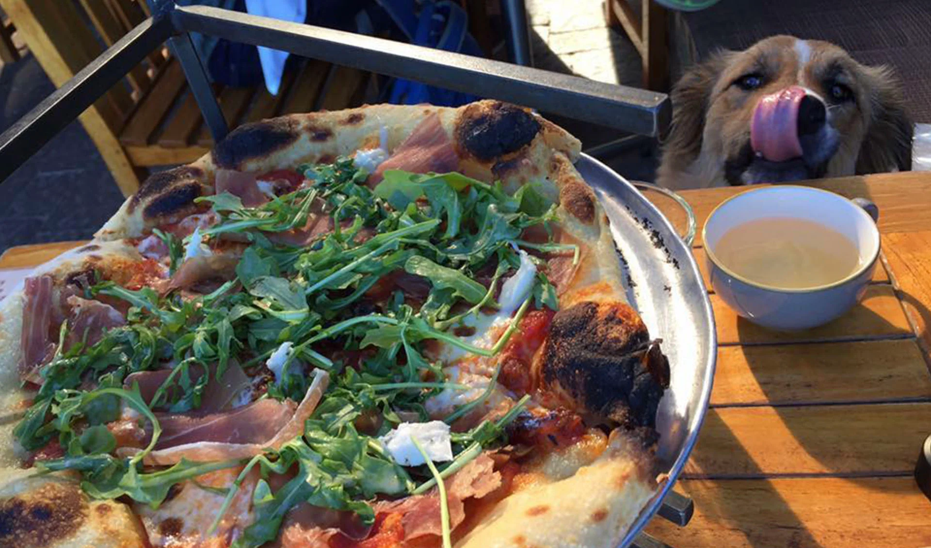 pizza with arugula and prosciutto sitting on a table in the sun with a dog looking at the pizza