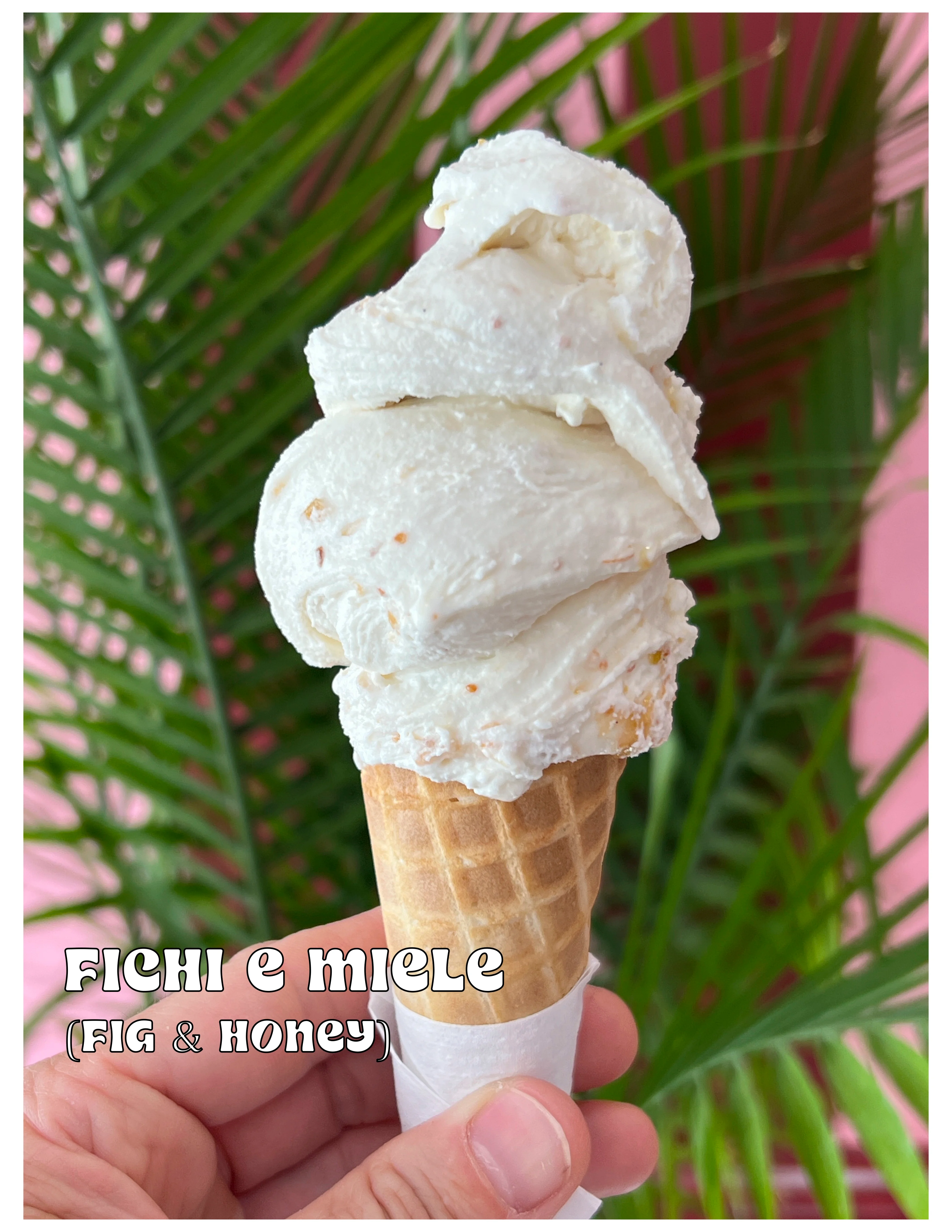 Creamy fig and honey gelato in a waffle cone