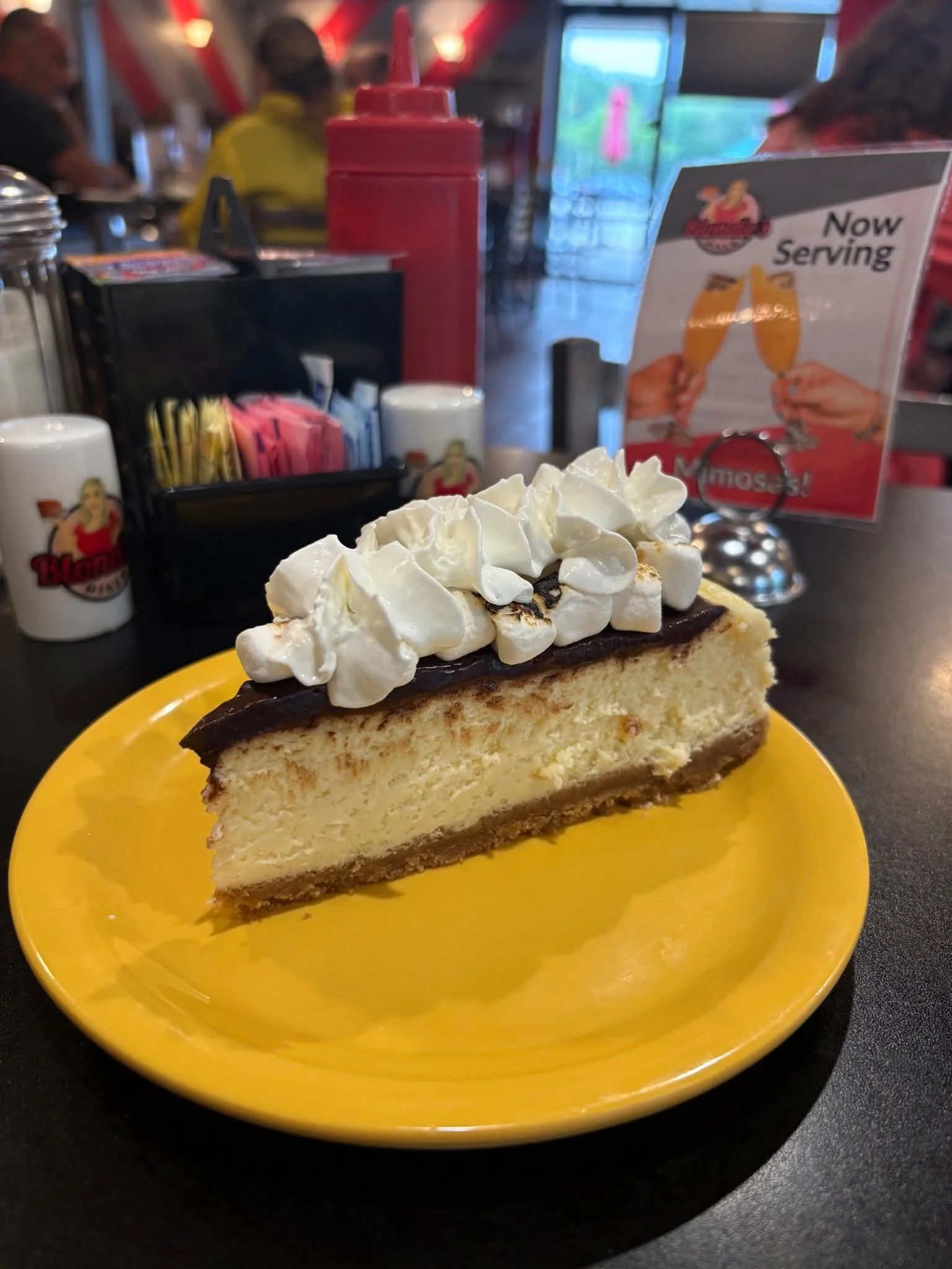 Decadent cheesecake slice topped with whipped cream