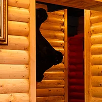 Rustic restaurant interior with wooden walls and warm lighting