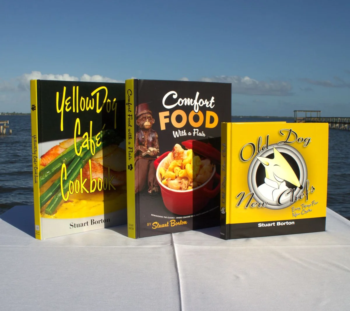 Three cookbooks on a table by the water, showcasing diverse culinary themes