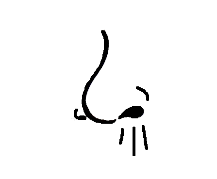 Artistic sketch of a cat's nose with whiskers