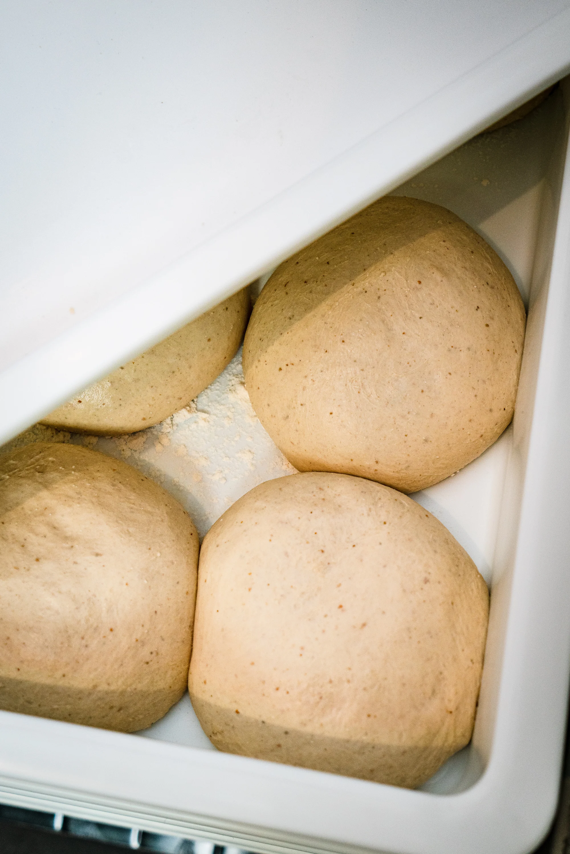 Freshly prepared pizza dough balls in a container