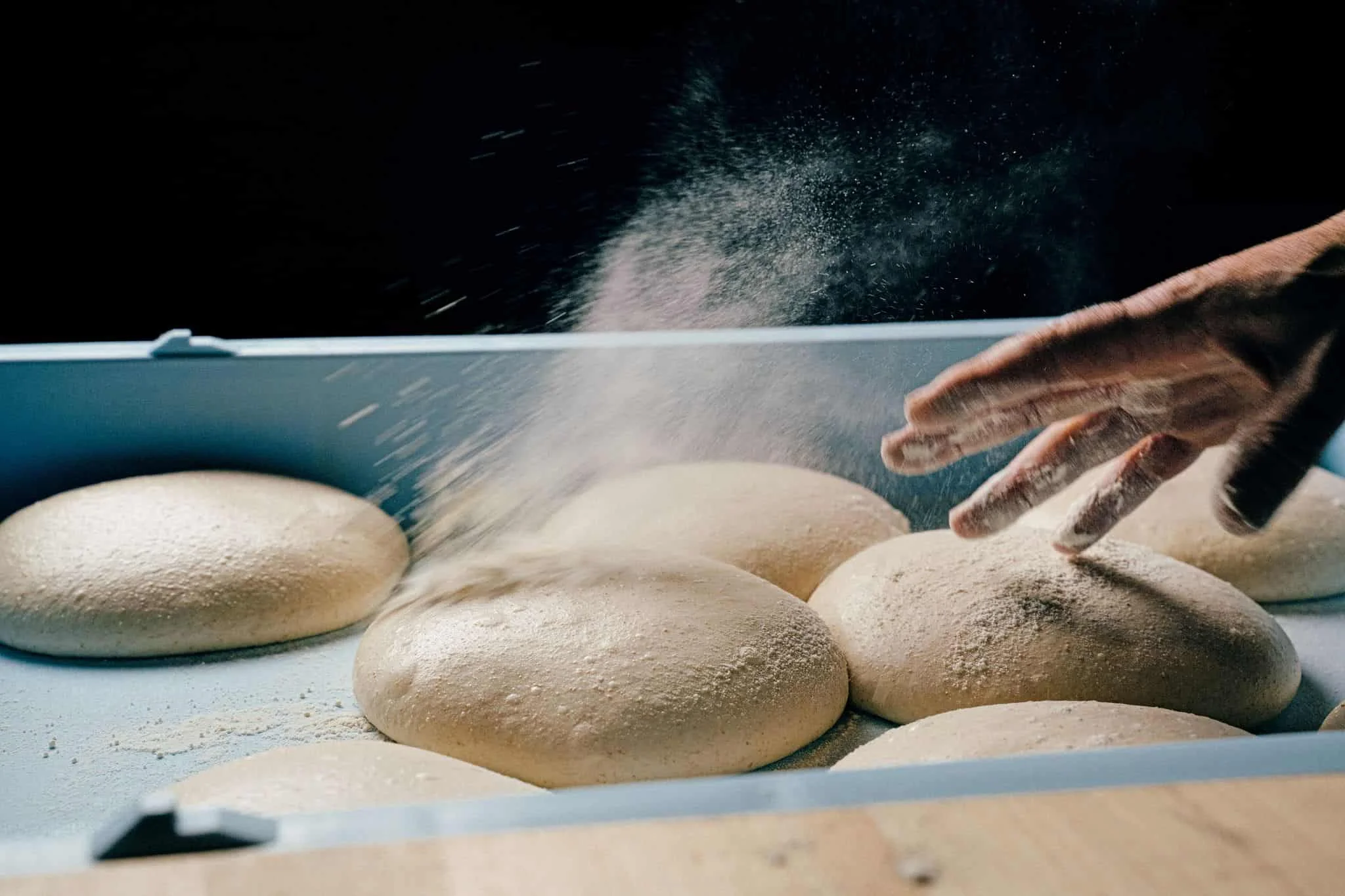 Several round dough balls dusted with flour, with a hand sprinkling flour over them in a blue tray.